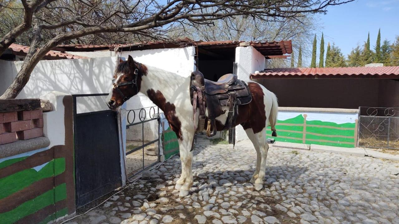 Rancho Labradores Atotonilco  エクステリア 写真