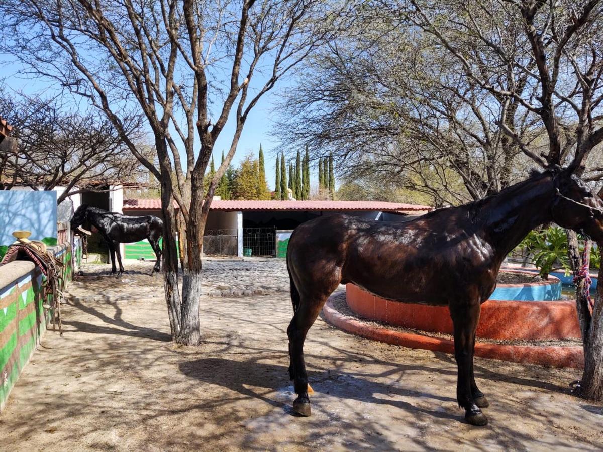 Rancho Labradores Atotonilco  エクステリア 写真