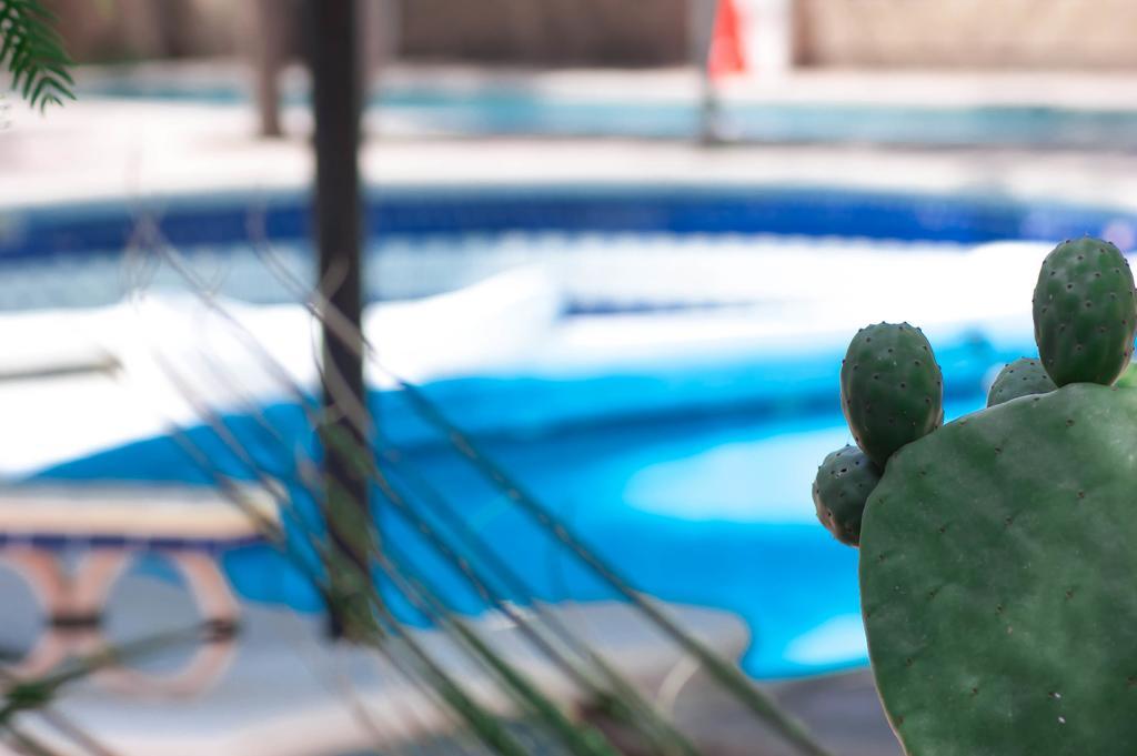 Rancho Labradores Atotonilco  エクステリア 写真